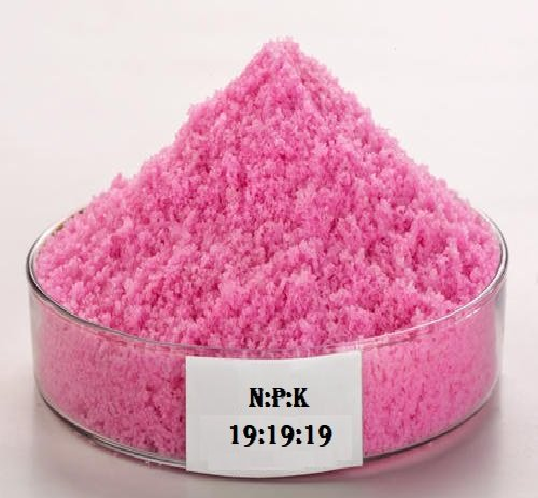 Water-Soluble NPK 19-19-19