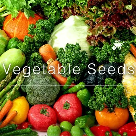 Vegetable Seeds